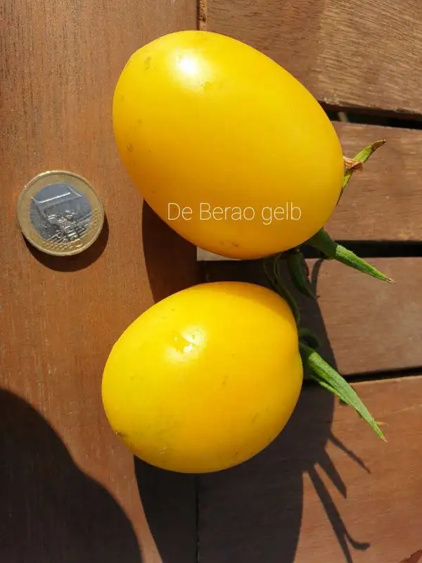 Tomaten: DeBerao gelb