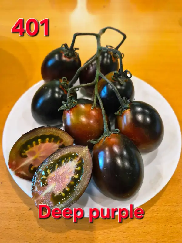 Tomaten: Deep purple