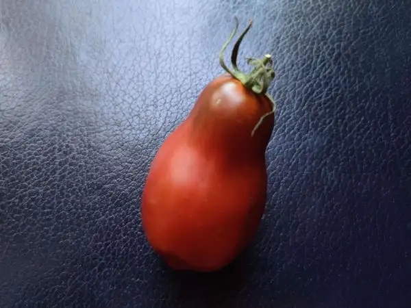 Tomaten: Deep Space