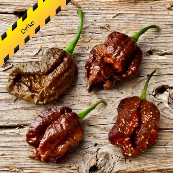 Chili: Defko