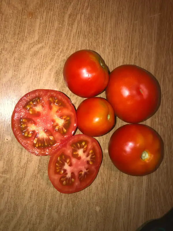 Tomaten: Del Bierzo