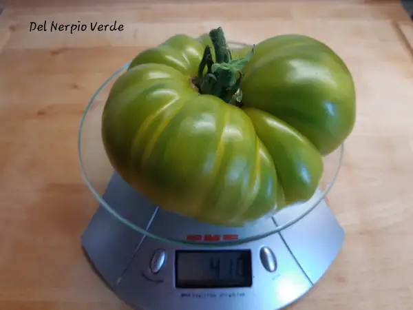 Tomaten: Del Nerpio Verde