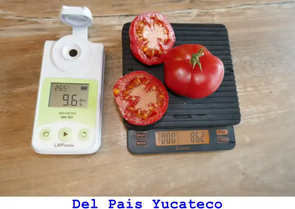 Tomaten: Del Pais Yucateco