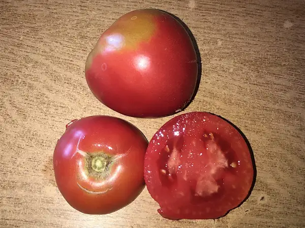 Tomaten: Demitov