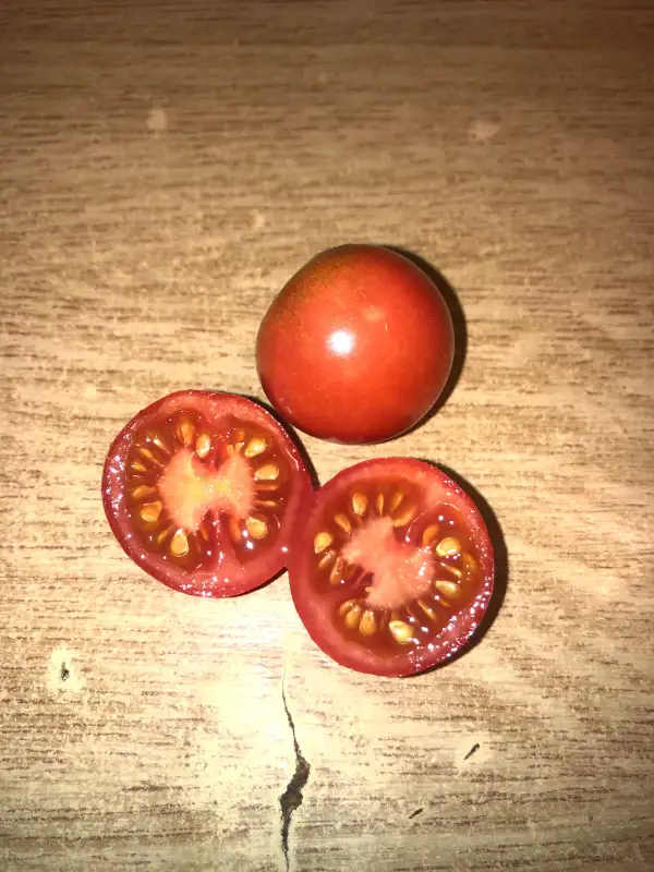 Tomaten: Deng Ta Fan Qie