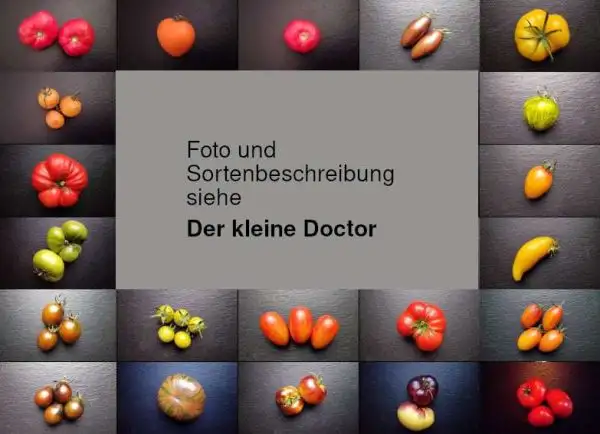 Tomaten: Der kleine Doktor