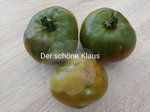 Tomaten: Der schöne Klaus