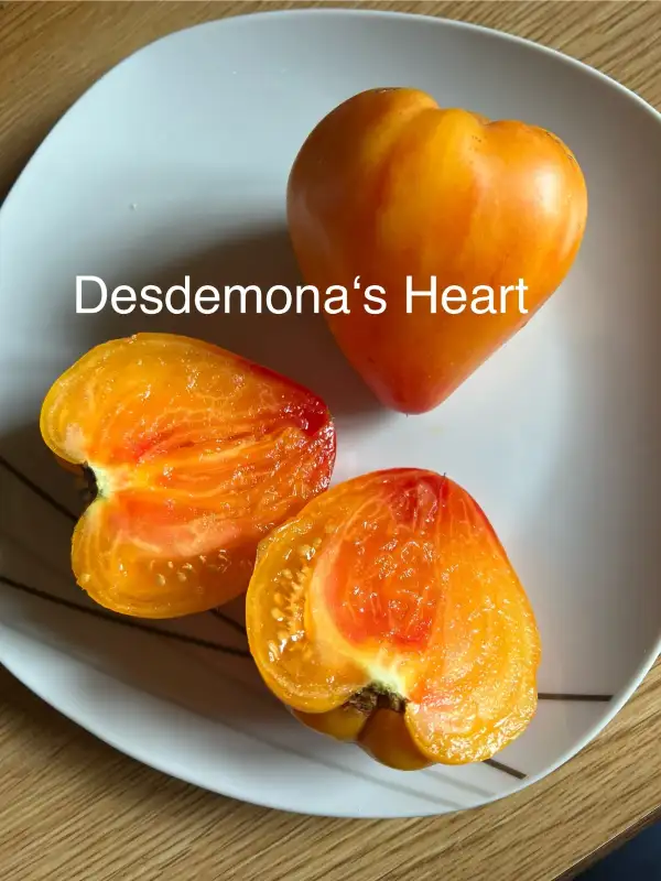 Tomaten: Desdemona‘s Heart