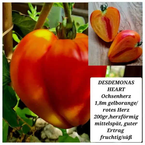 Tomaten: Desdemonas Heart