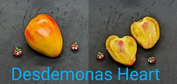 Tomaten: Desdemonas Heart