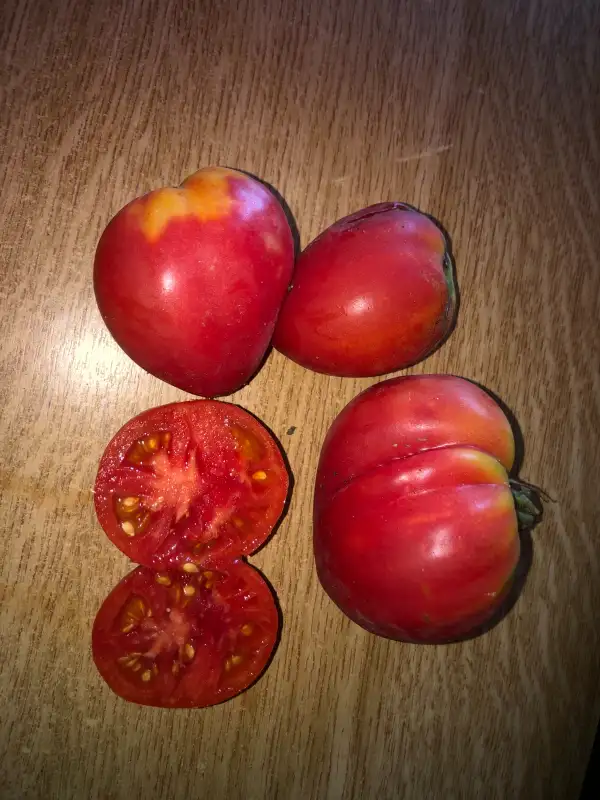 Tomaten: Desertniy Rozoviy