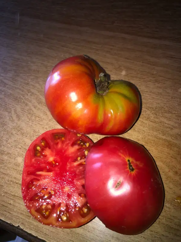 Tomaten: Dester