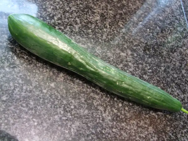 Gurken: Deutsche Gurke