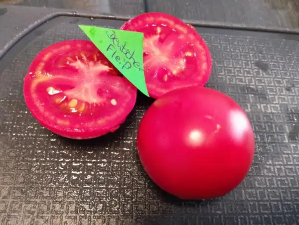 Tomaten: Deutscher Fleiß