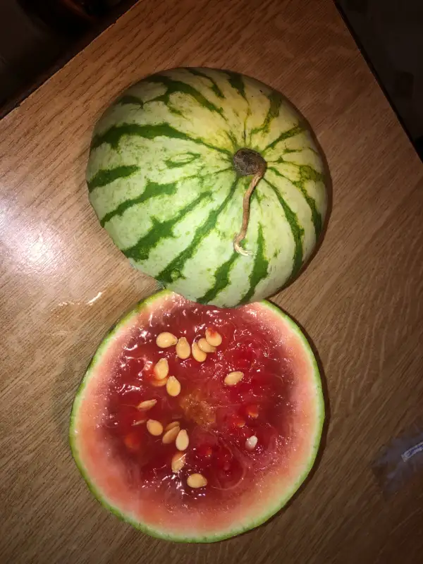 Obst: Di Bagnacavallo / Wassermelone