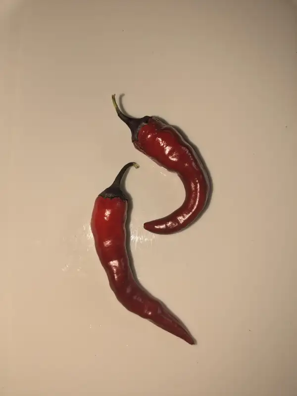 Chili / Paprika: Diavoletto