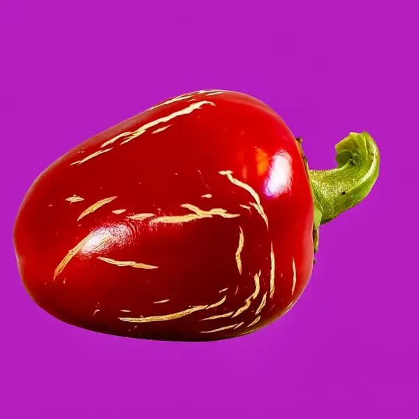 Chili / Paprika: Dieghito Jalapeno