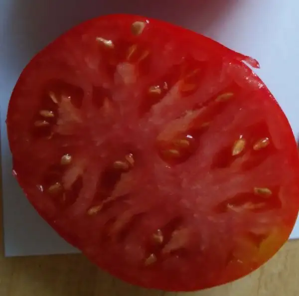 Tomaten: Dinner Plate