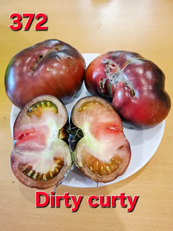 Tomaten: Dirty Curty
