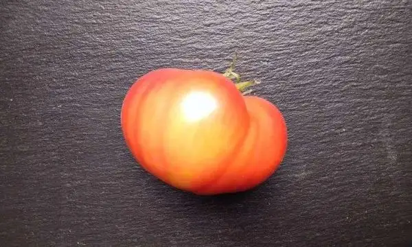 Tomaten: Dirty Curty