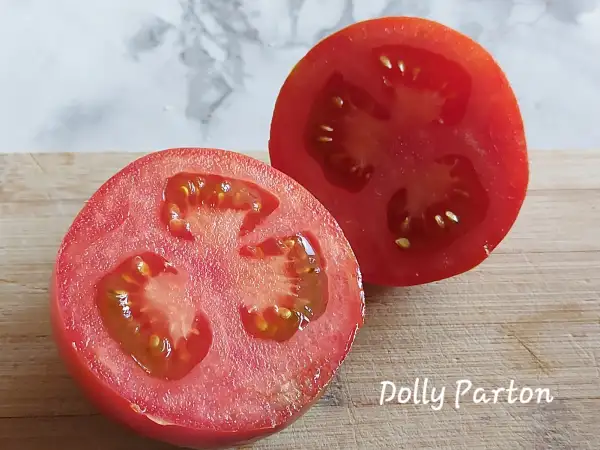 Tomaten: Dolly Parton