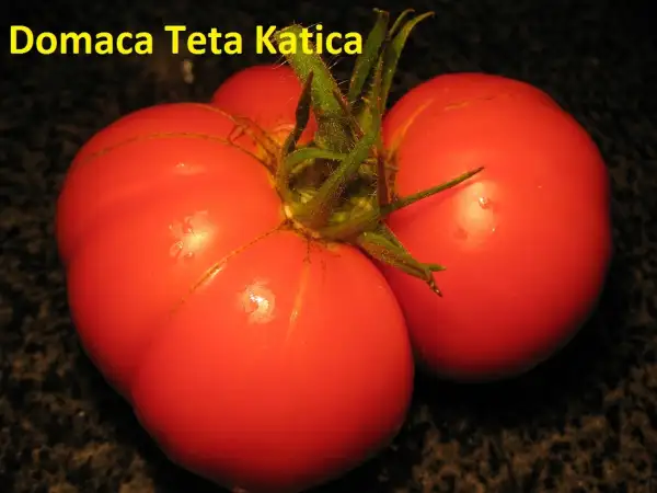Tomaten: Domaca Teta Katica