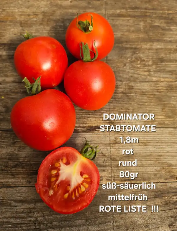 Tomaten: Dominator