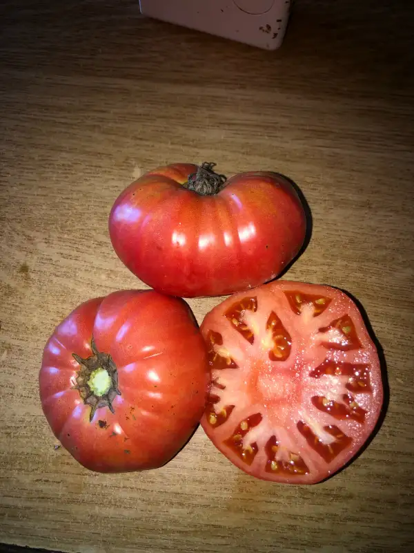 Tomaten: Don Camillo