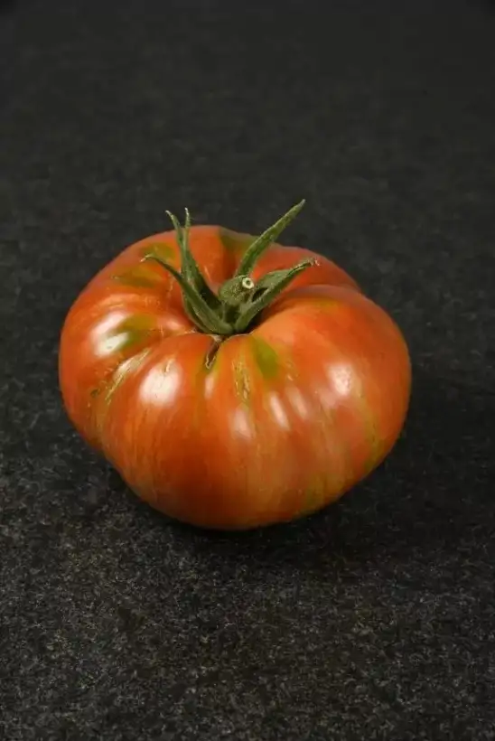 Tomaten: Don`s Double Delight