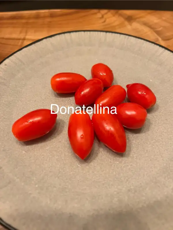 Tomaten: Donatellina