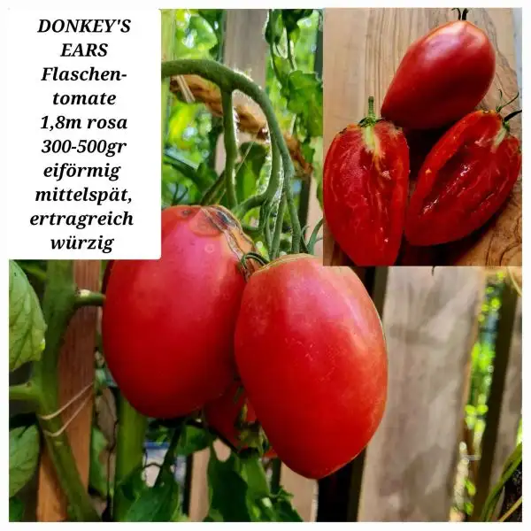 Tomaten: Donkey