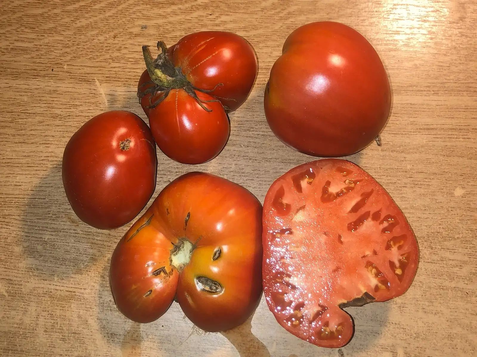 Tomaten: Donskoi