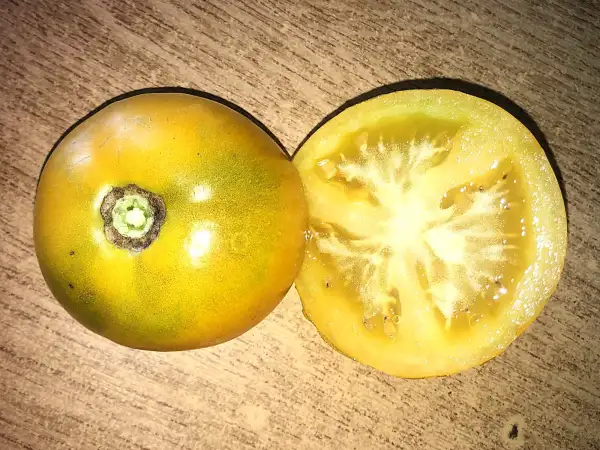 Tomaten: Dorado de Turile
