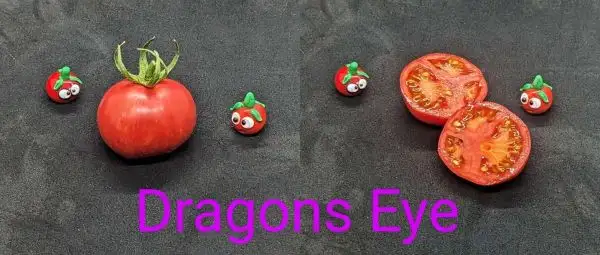 Tomaten: Dragons Eye