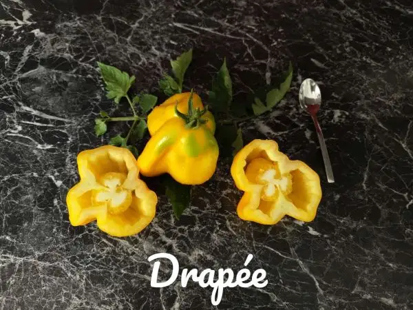 Tomaten: Drapeé