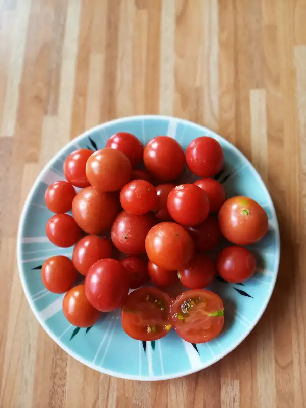 Tomaten: Dreikäsehoch, Whippersnapper