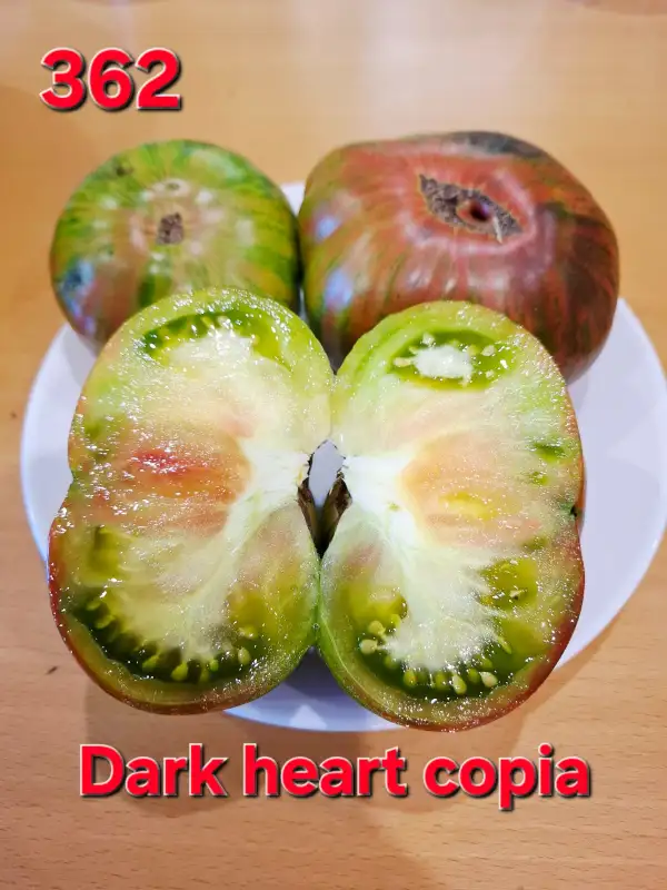 Tomaten: Drk heart copia