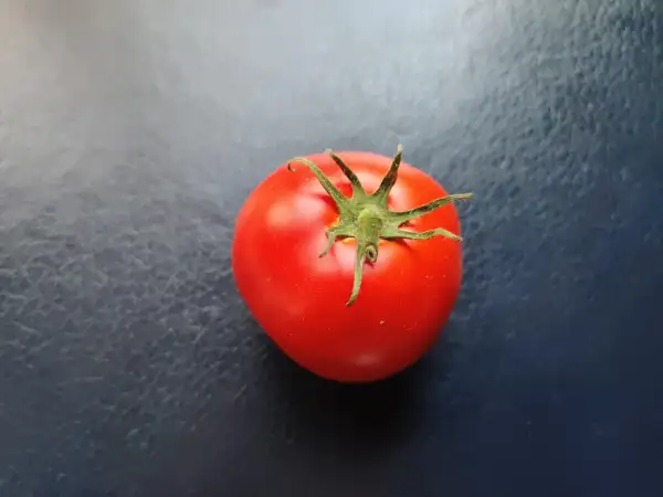 Tomaten: Druzba