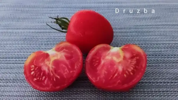 Tomaten: Druzba