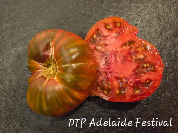 Tomaten: DTP Adelaide Festival
