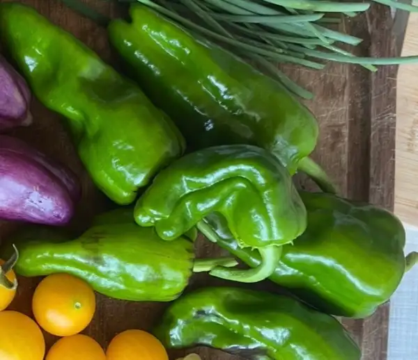 Chili / Paprika: Du Padron