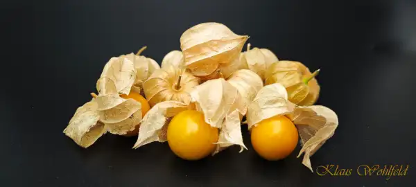 Physalis: Dulceria