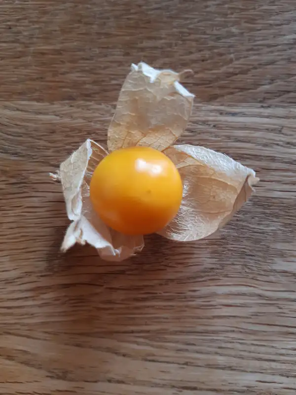 Physalis: Dulceria
