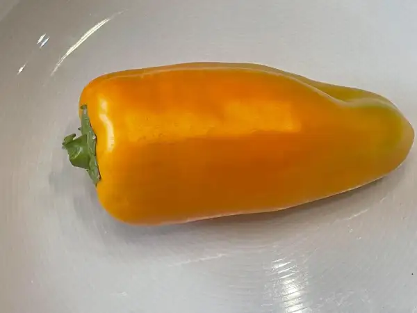 Paprika: Dvorana