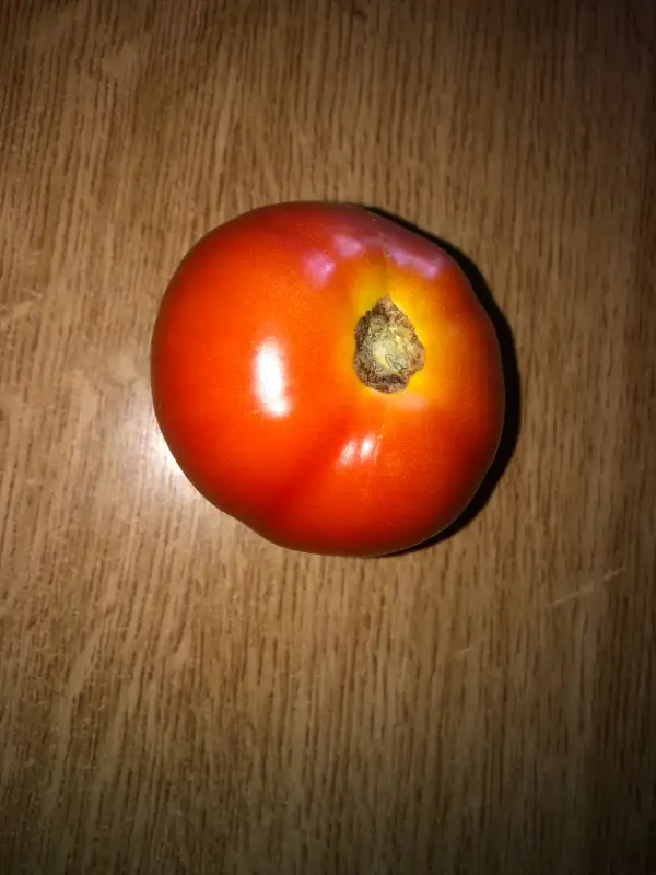 Tomaten: Dvorcovij