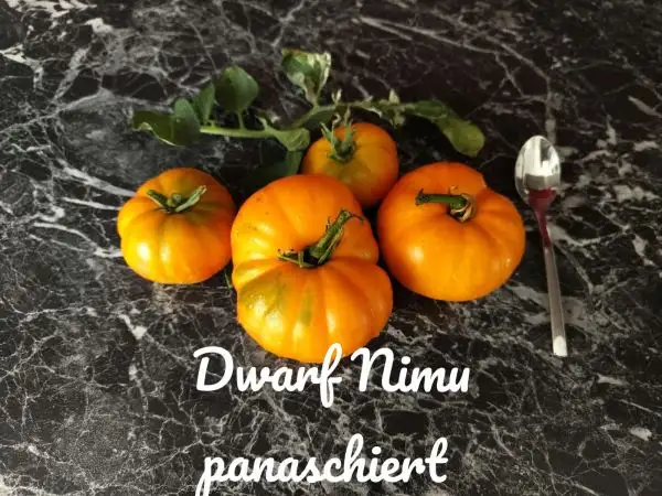 Tomaten: Dwar Nimu panaschiert