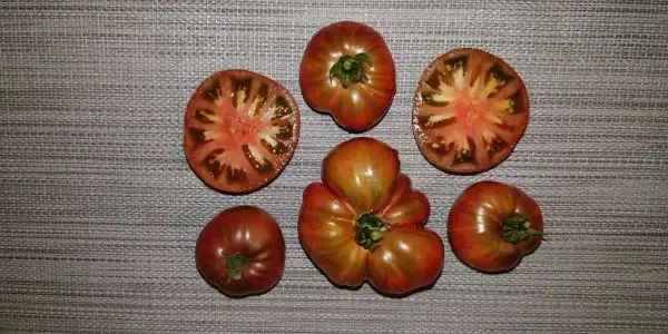 Tomaten: Dwarf Adelaide Festival