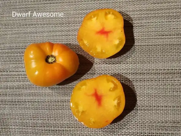 Tomaten: Dwarf Awesome