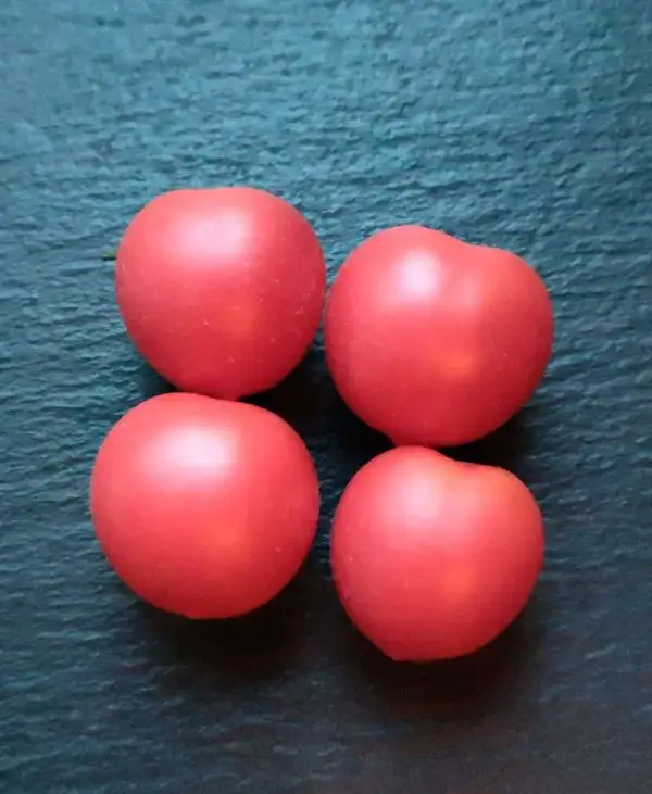 Tomaten: Dwarf Bendigo Blush