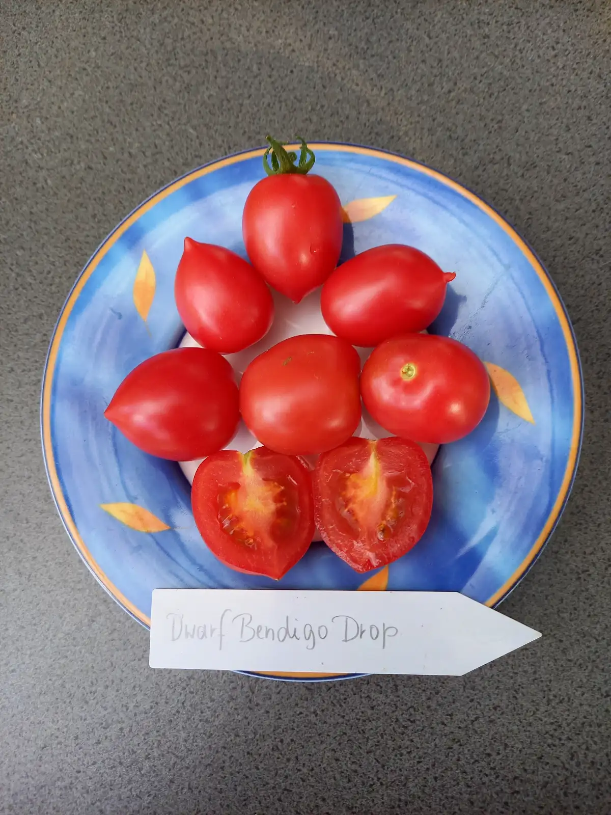 Tomaten: Dwarf Bendigo Drop